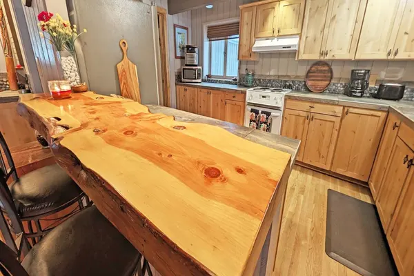 Photo 1 - Pine Cone 3