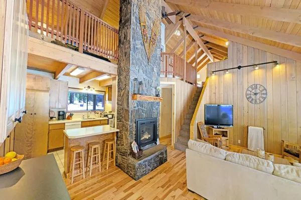 Photo 1 - Pine Needle 2