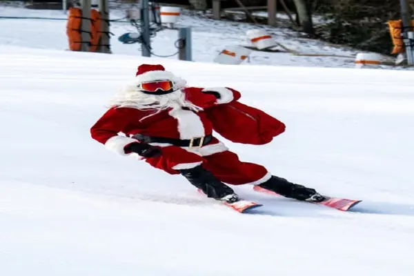 Photo 1 - Grey Fox Cabin between Boone, Blowing Rock, & App Ski Mountain!