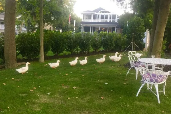 Photo 1 - Walden on the Pond Hotel
