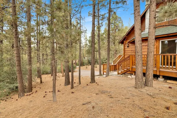 Photo 1 - Living LOG Cabin #1494