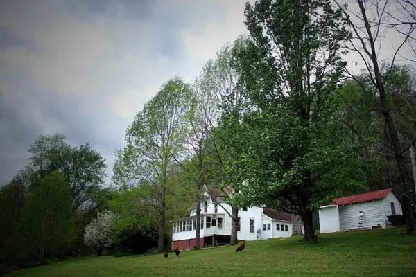 Photo 1 - Lost River Hostel