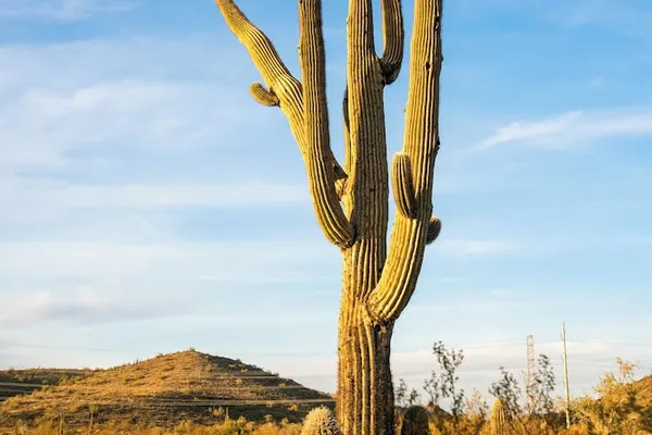 Photo 1 - Sonesta Simply Suites Avondale