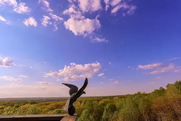 Photo 1 - Treetop Retreat