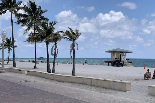 Photo 1 - Hollywood Beach Seagull