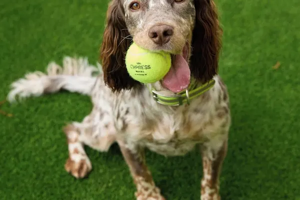 Photo 1 - Sol Cypress San Antonio; Marriott Tribute Portfolio