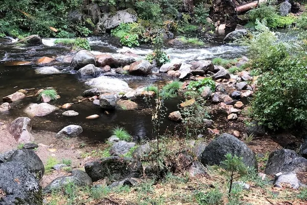 Photo 1 - Sierra Inn on the River