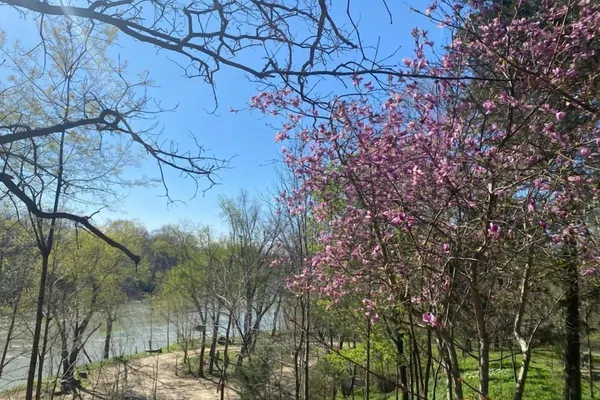 Photo 1 - Ouachita River Haven