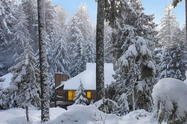 Photo 1 - LOGE Alta Crystal