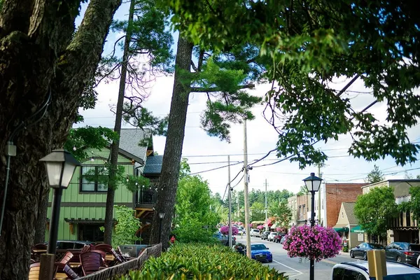 Photo 1 - Dogwood at Main & Pine