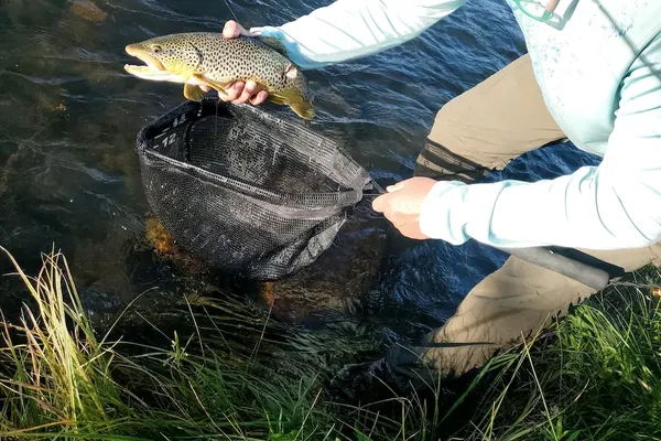 Photo 1 - Dream Drift Motel