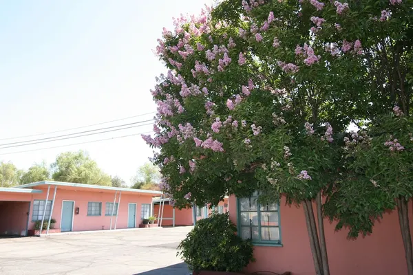 Photo 1 - The New Star Motel with Studio-Kitchens: 1950s Extended-Stay Lodging and Retreat Center