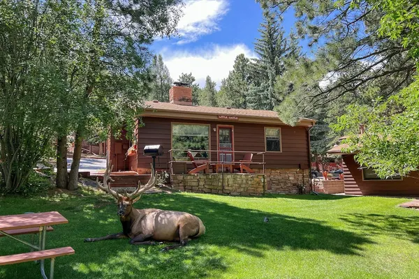 Photo 1 - Castle Mountain Lodge