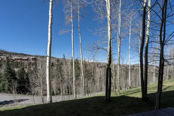 Photo 1 - Aspen Ridge 2 3 Bedroom Townhouse by Alpine Lodging Telluride