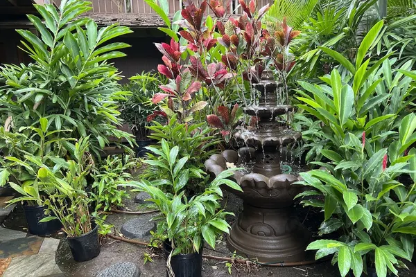 Photo 1 - Maui What A Wonderful B&B Pineapple Ste