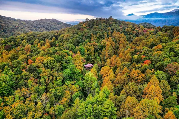 Photo 1 - Bryson's Hidden Valley Ranch - Quiet NC Cabin!