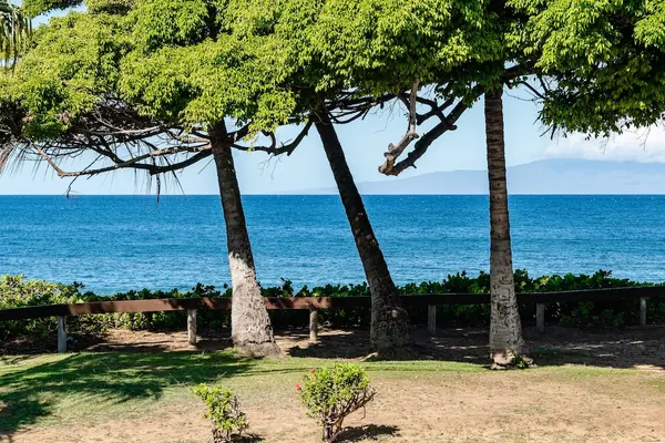 Photo 1 - Stunning Modern Beachfront Resort Vistas