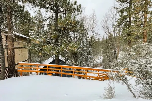 Photo 1 - Forest Escape