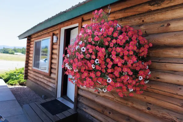 Photo 1 - Big Medicine Cabins