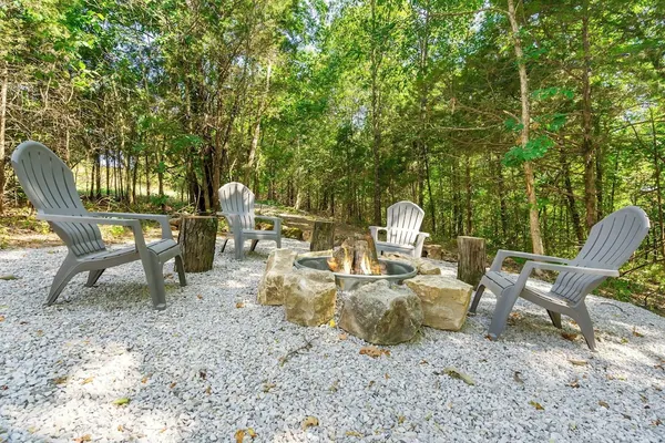 Photo 1 - Tree Farm Duo - Best of the Ozarks!