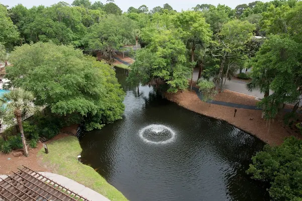 Photo 1 - Holiday Inn Express Hilton Head Island by IHG