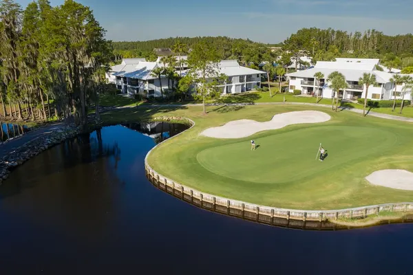 Photo 1 - Saddlebrook Golf Resort & Spa Tampa North - Wesley Chapel