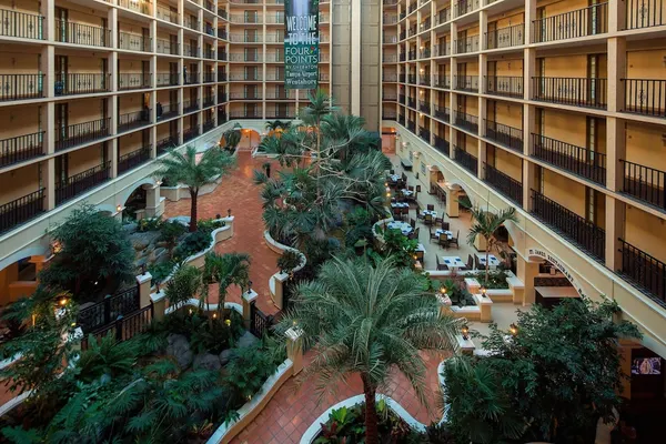 Photo 1 - Four Points by Sheraton Suites Tampa Airport Westshore