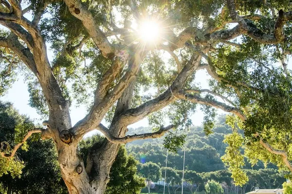 Photo 1 - Carmel Valley Ranch, in The Unbound Collection by Hyatt