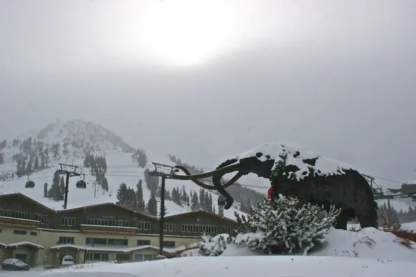 Photo 1 - Alpenhof Lodge
