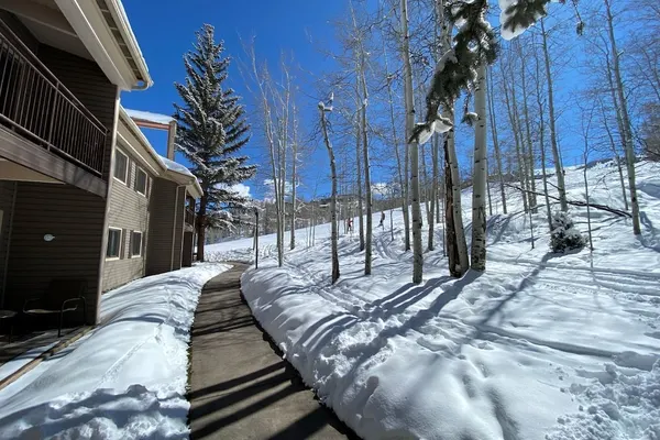Photo 1 - The Timberline Condominiums