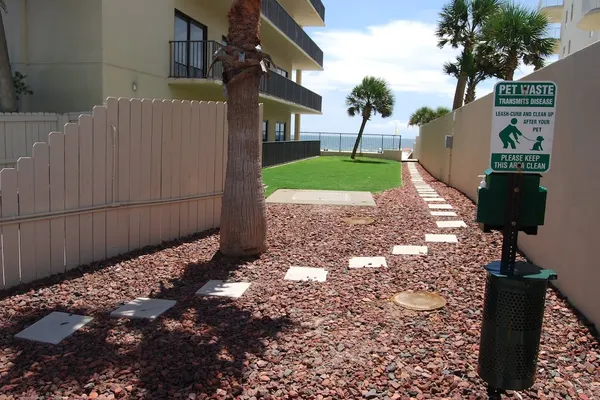 Photo 1 - The Palms