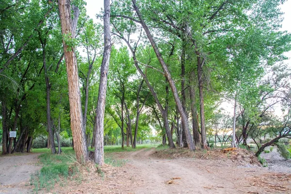 Photo 1 - Riverwood Resort on the Gunnison