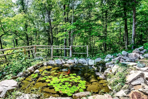 Photo 1 - Laurel Valley Mountain Retreat