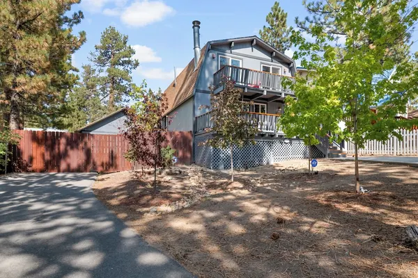 Photo 1 - Bear PAC Hideout