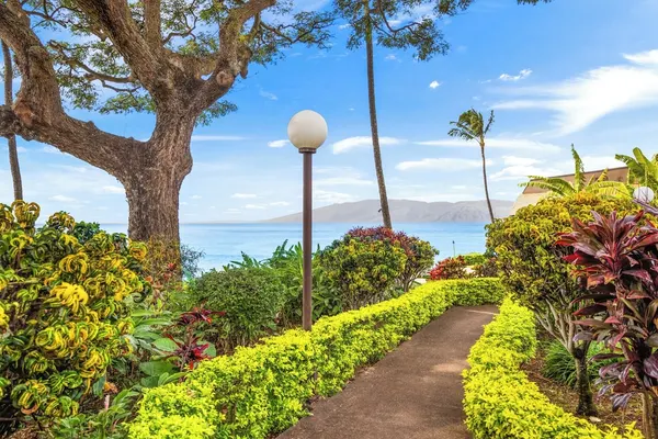 Photo 1 - Kuleana Club - 107