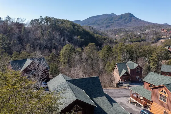 Photo 1 - Chilling Bear Lodge