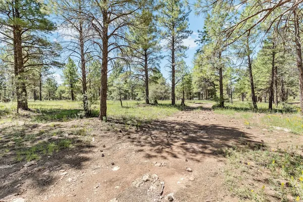 Photo 1 - Butler Flagstaff