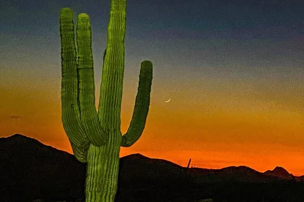 Photo 1 - Kings Way #201 Fountain Hills
