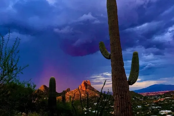 Photo 1 - Camelback #102 Phoenix