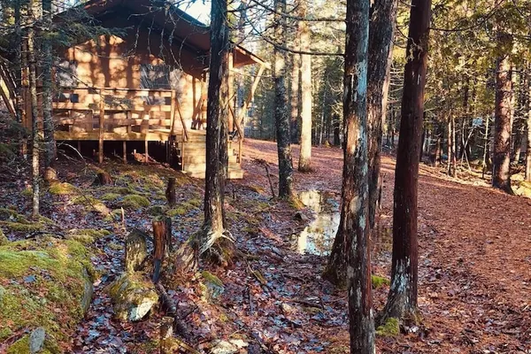 Photo 1 - The Woods of Eden Glampground