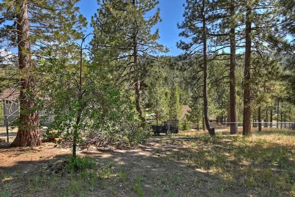 Photo 1 - Peak Adventures-Beautiful 4BR House