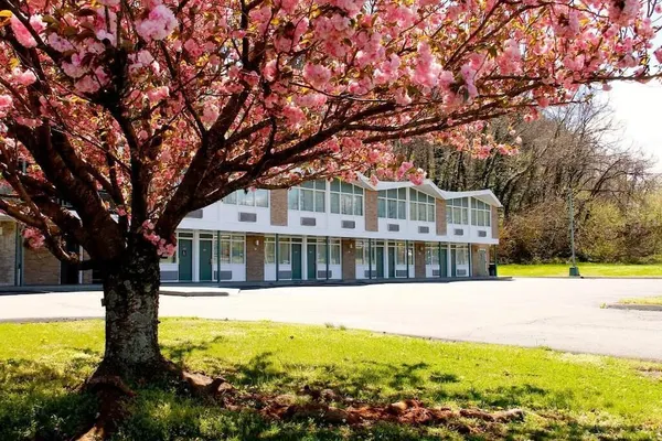 Photo 1 - Colony House Motor Lodge