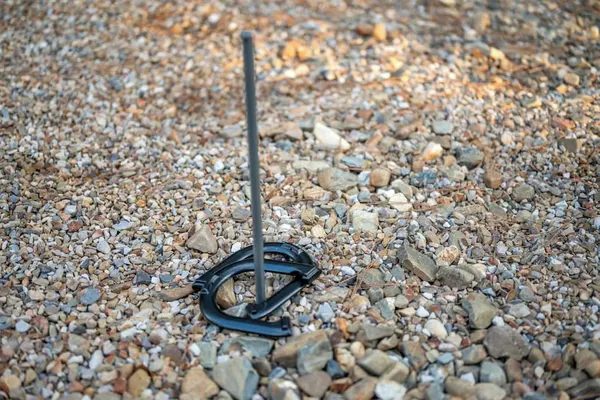 Photo 1 - The Pickleball Pines