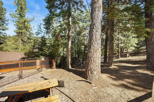 Photo 1 - All in Cabin