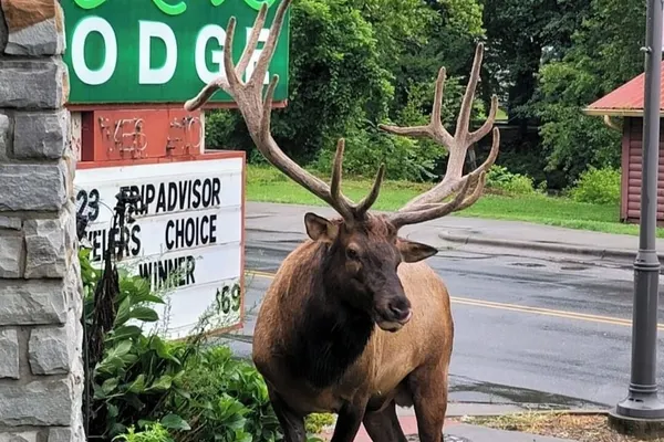 Photo 1 - Rolling Hills Lodge