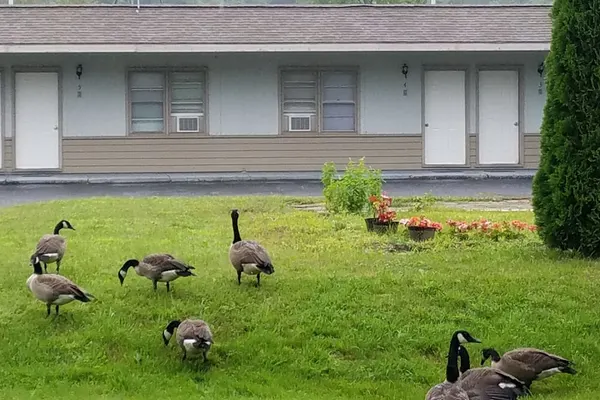 Photo 1 - Becket Motel