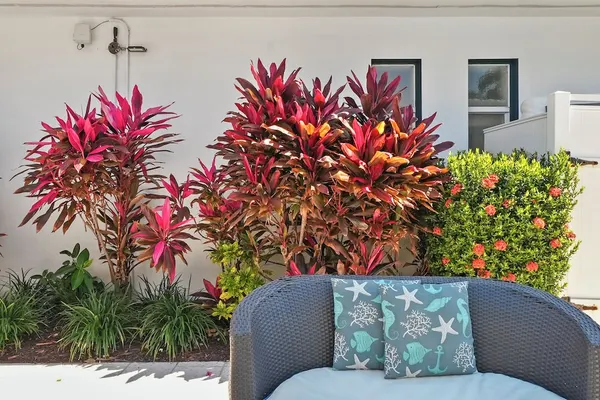 Photo 1 - Hollywood Beach Suites