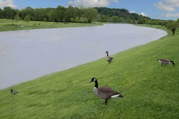 Photo 1 - Econo Lodge Sevierville-Pigeon Forge on the River