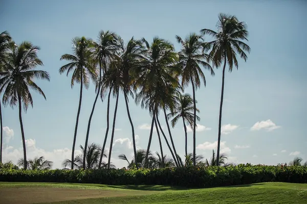 Photo 1 - Wyndham Palmas Beach and Golf Boutique Resort