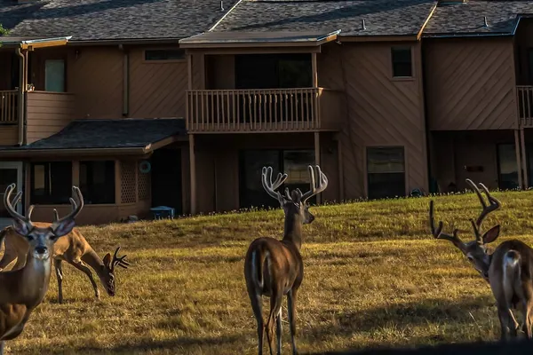 Photo 1 - Cypress Fairway Village